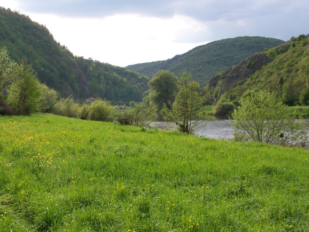 Restaurace a penzion U Lva Karlštejn Exteriér fotografie